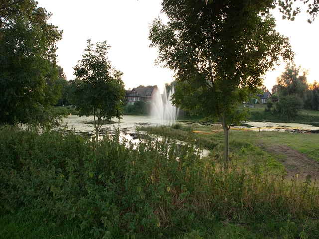 k-Woyfest (33 von 58).jpg